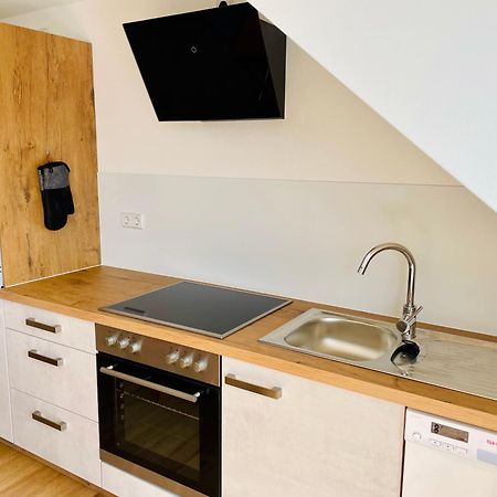 Stadtoase Geraeumige Gaestewohnungen Mit Balkon, Komfort, Modernitaet Und Ruhe, Fuer Monteure Geeignet, Free Wifi Frankenberg Luaran gambar